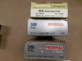 308 Winchester ammunition