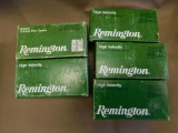 Remington 22 Hornet Brass for Reloading