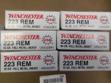 223 Remington Ammunition