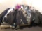 Men's Shirts and Coats