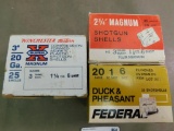20 gauge shotgun ammunition