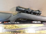 Gamo Big Cat pellet rifle