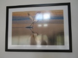 Framed Crane Photo