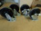 Casters