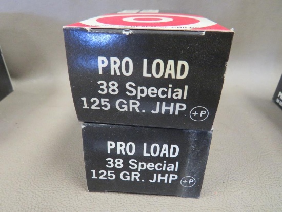 38 Special Personal Protection Ammunition