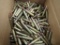 223 Remington