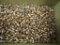 9mm Bullets for Reloading