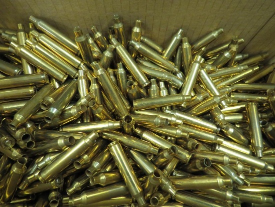 204 Ruger Brass for Reloading