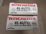 45 ACP Ammunition