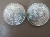 1884 Morgan Dollar Coins