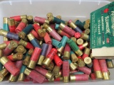 Loose Ammunition Assortment