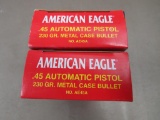 45 ACP Ammunition