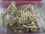 308 Winchester Brass for Reloading