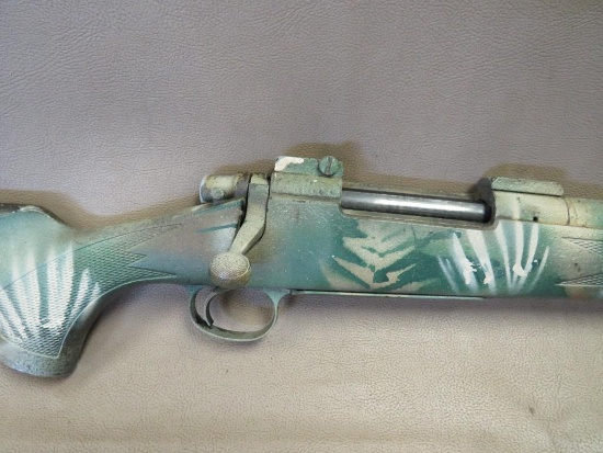 Remington - 700 Custom