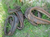 Six Old Horse Collars