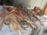 Horse Bits & Accessories