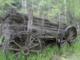 Antique Wagon for Salvage