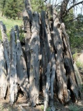 Pile of Weathered Wood Fence Posts