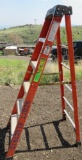 Werner Step Ladder