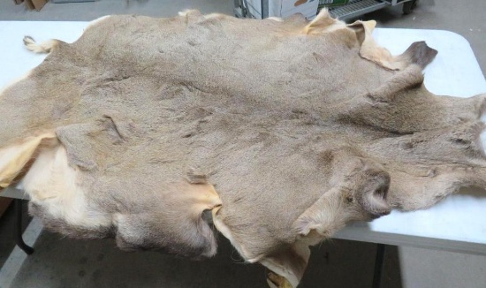 Supple tanned hair on Mule Deer Hide