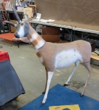 Pronghorn Antelope Decoy