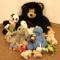 Mountain of Stuffed Animals