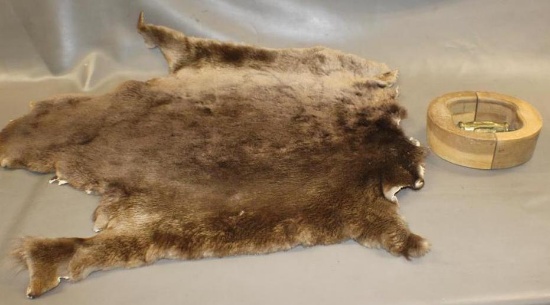Beaver Pelt and Hat Stretcher