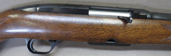 Winchester - 100