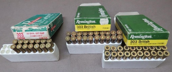 303 British Ammunition