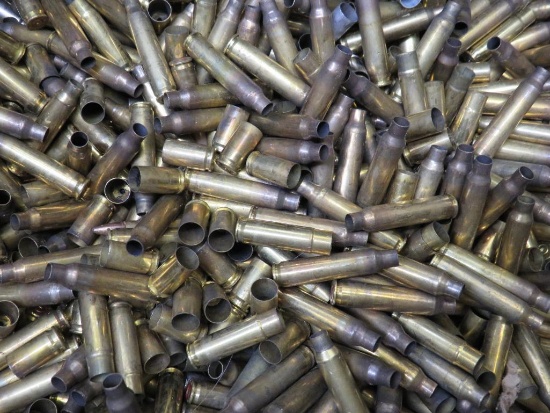 Mixed Brass for Reloading