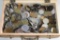 Box Loaded With International Coins