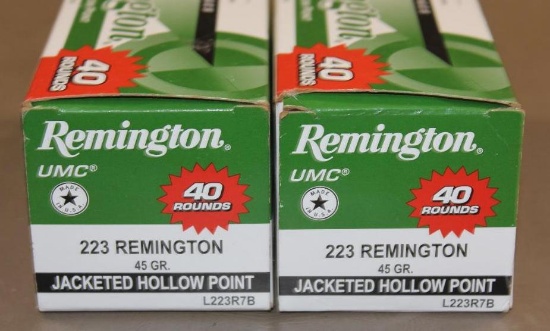 80 Rounds Remington UMC 223 Remington Rifle Ammunition