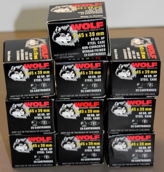 250 Rounds Wolf 5.45 x 39mm Ammunition