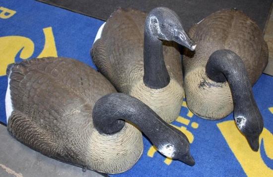 Three Carry Lite Magnum Canadian Goose Shell Decoys