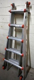 Little Giant type A-1 Ladder