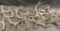 Approximately 15 lbs. Mixed Antlers