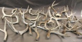 Approximately 15 lbs. Mixed Antlers