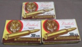 300 Weatherby Magnum Ammunition and Brass