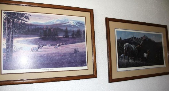 Signed and Framed Wildlife Art Prints