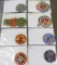 8 Early North Eastern Region Council Patches