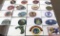 18+ BSA Scout Camp Patches for 