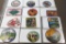 12 Unique BSA Trail Patches O&P Names