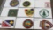 9 BSA Camp Patches of Different Sylas and Ages
