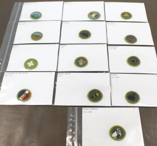 13 BSA Merit Badges