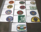 13 BSA Scouting Camp Patches