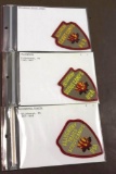 Three Vintage Allegheny Camps Patches