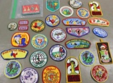 Approximately 28 Mixed BSA Patches