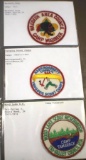 Three Early BSA Camp Patches