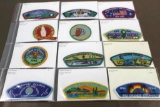 Mixed BSA Council Patches in Various Styles