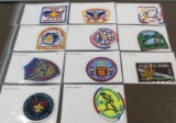 11 Mixed Central Wyoming BSA Patches